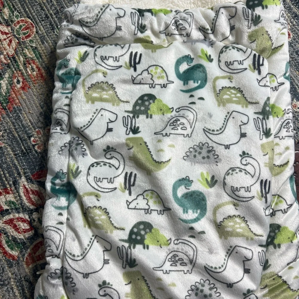 Dinosaur Print Baby Sleeping Bag